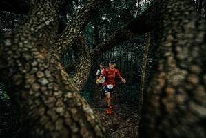 BIB: 
                            <button type="button" onclick="openModal(25679711)" class="btn btn-primary btn-sm float-right btn-popup" data-toggle="modal" data-target=".modal-high-quality">
                        <i class="fas fa-shopping-cart"></i> Add to Cart
                    </button>
                                            <button type="button" onclick="isThisMe(25679711, true)" class="btn btn-success btn-sm float-right btn-popup btn-isme hidden" data-toggle="tooltip" data-placement="bottom" title="นี่คือรูปของคุณใช่ไหม คลิกที่นี่เพื่อเอาเข้าอัลบั้ม">
                        <i class="fas fa-plus"></i> Add to album
                    </button>
                    <button type="button" onclick="isThisMe(25679711, false)" class="btn btn-warning btn-sm float-right btn-popup btn-isnotme hidden">
                        <i class="fas fa-ban"></i> Remove from album
                    </button>